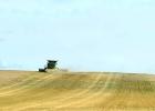 Producers harvesting promising yields