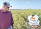 Small steps pave way for pollinator paradise in North Dakota