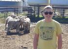 Young North Dakota farmer begins his journey with starter flock program